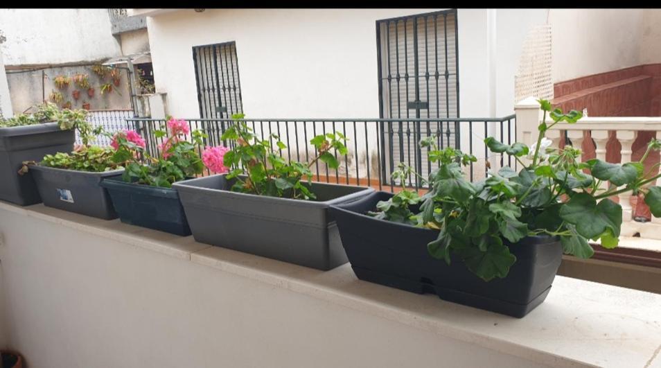 Apartamento Brianna Χέρεζ Εξωτερικό φωτογραφία